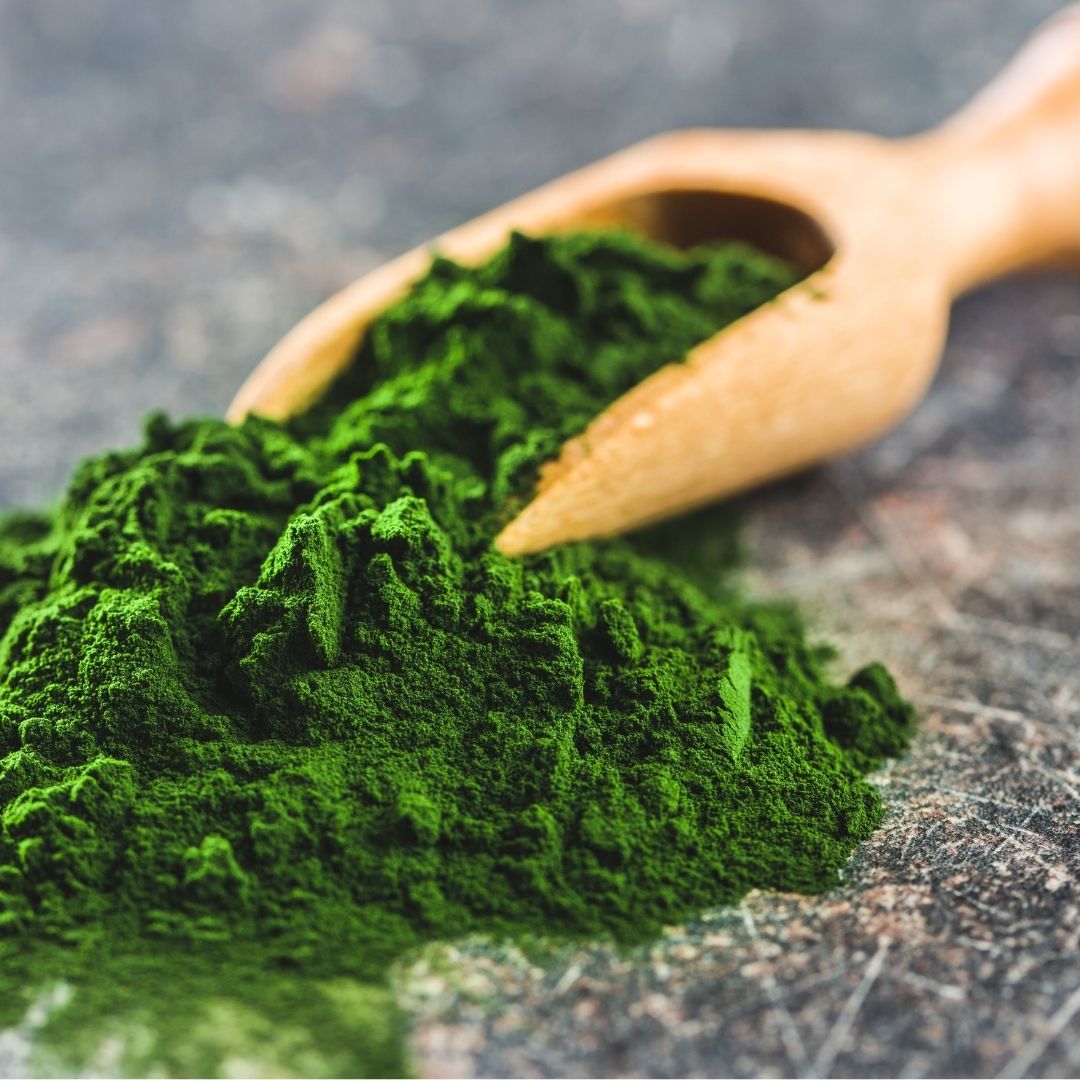 Chlorella Alge